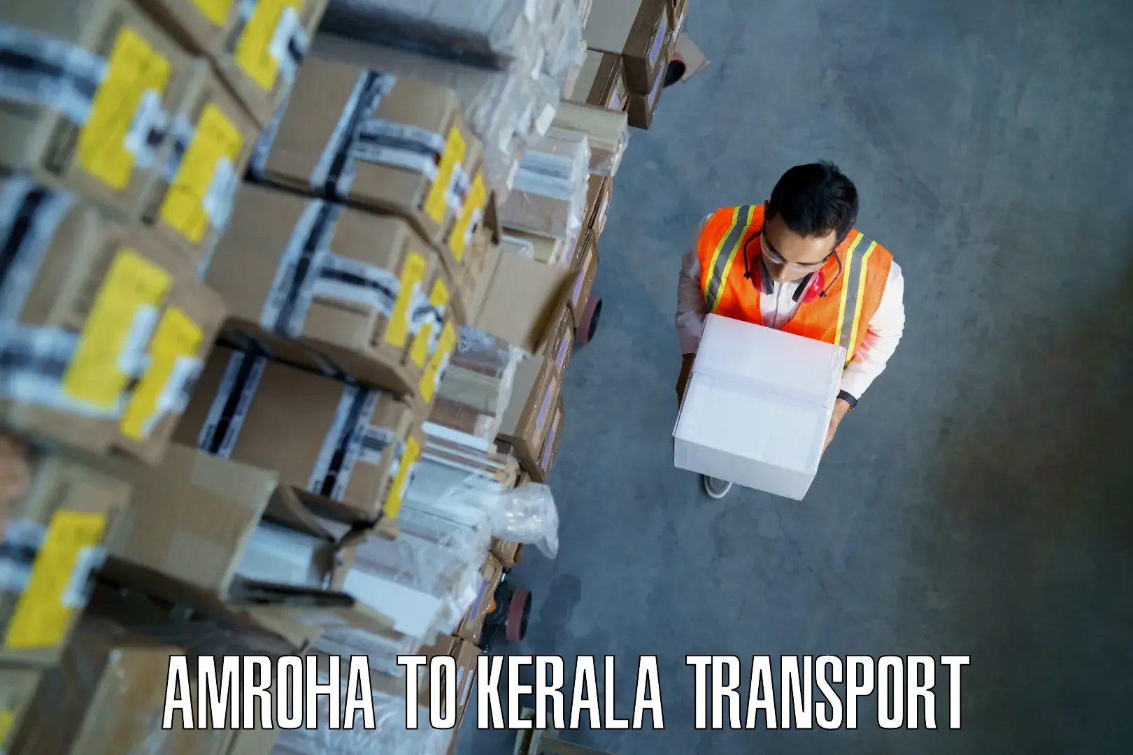 Scooty parcel Amroha to Changanacherry