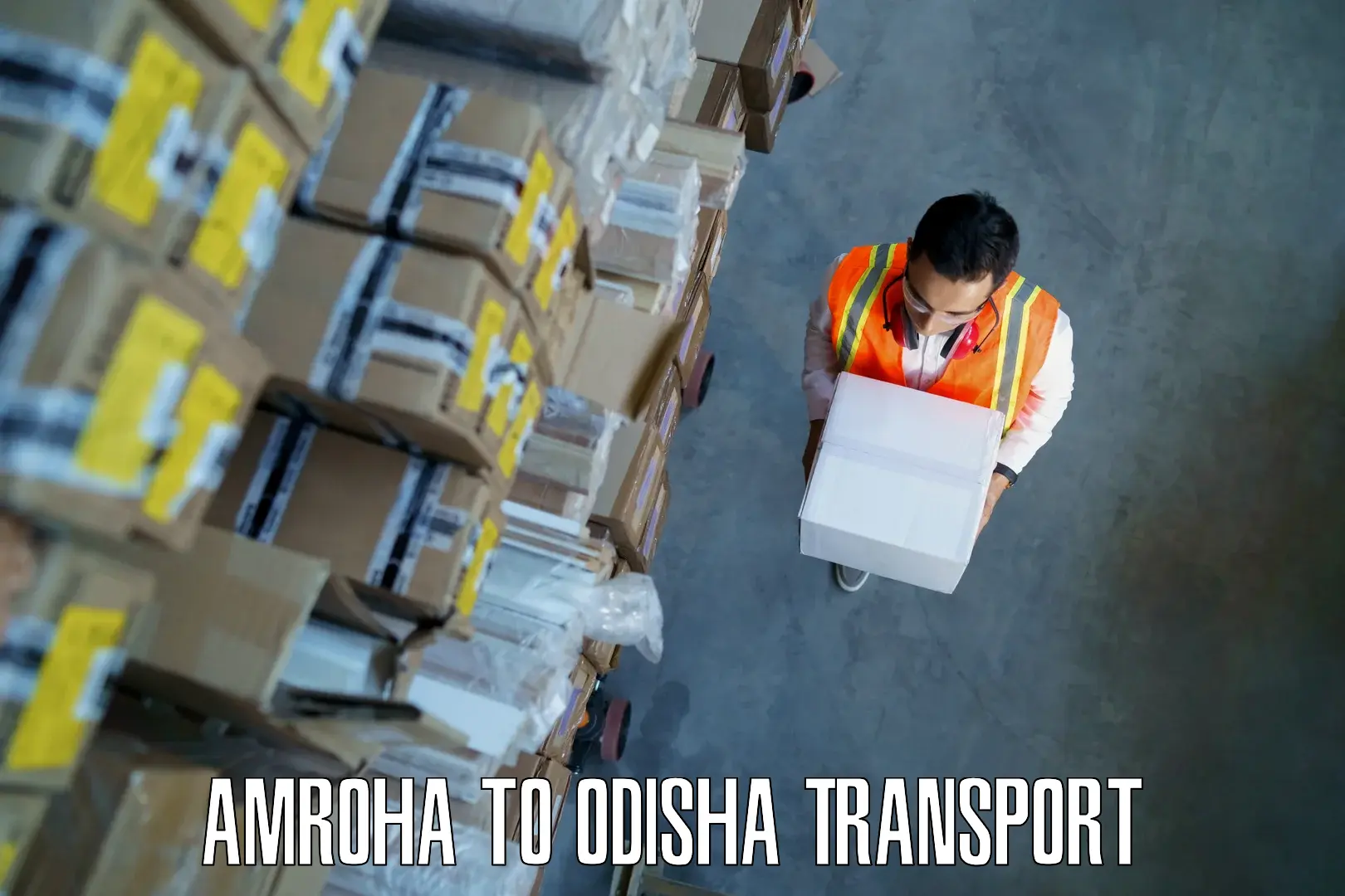 Vehicle transport services Amroha to Kalapathar Cuttack
