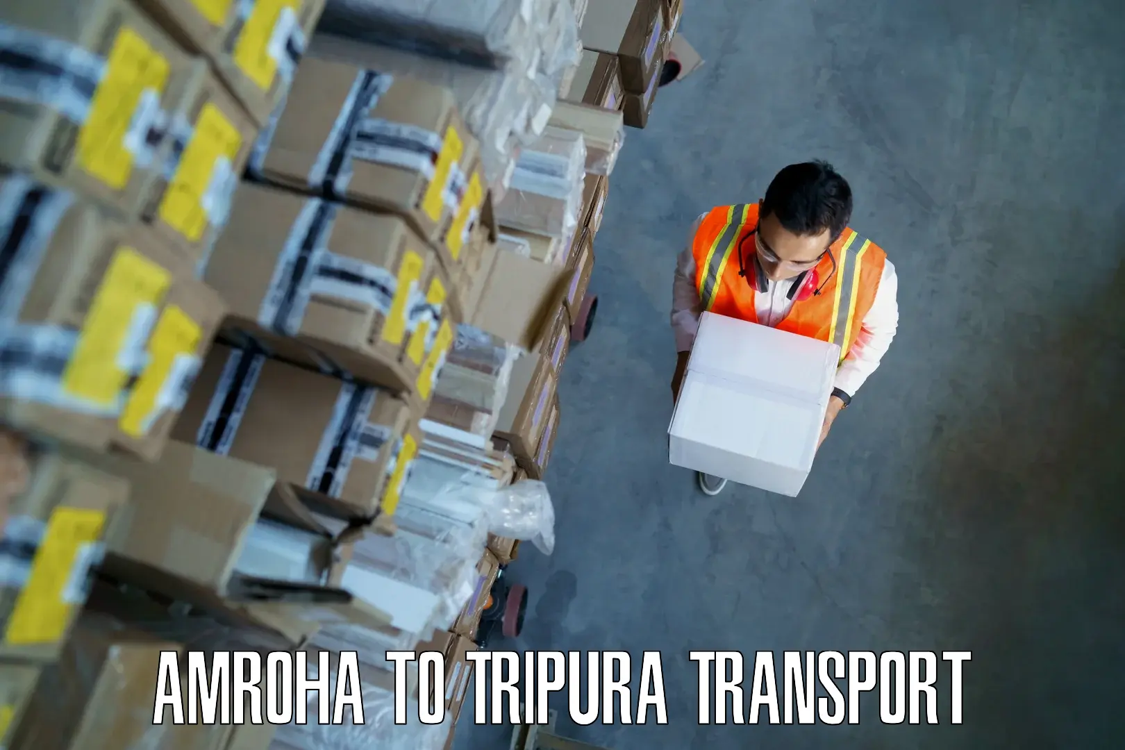 Daily parcel service transport Amroha to Manu Bazar
