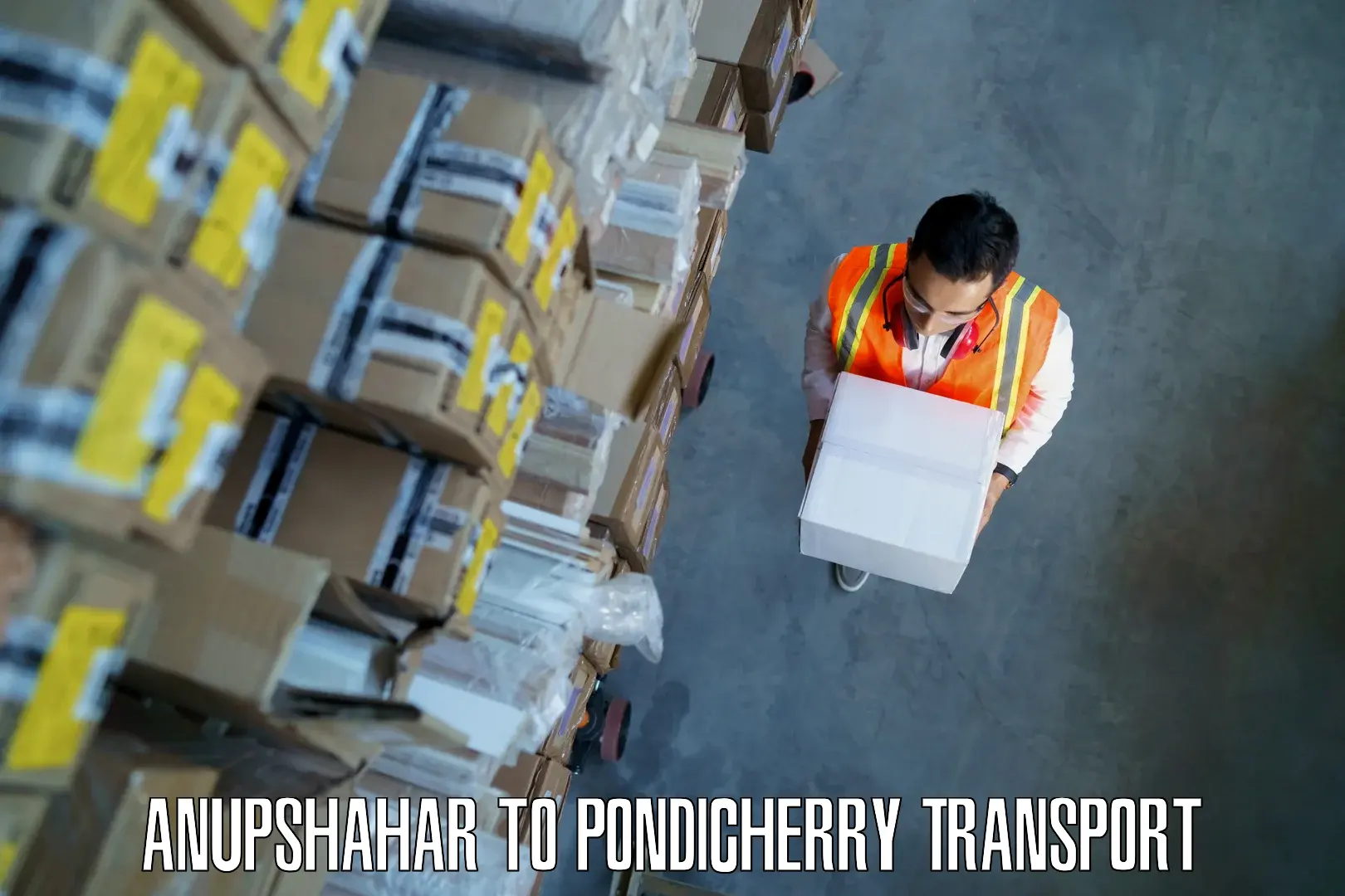 Parcel transport services Anupshahar to Pondicherry
