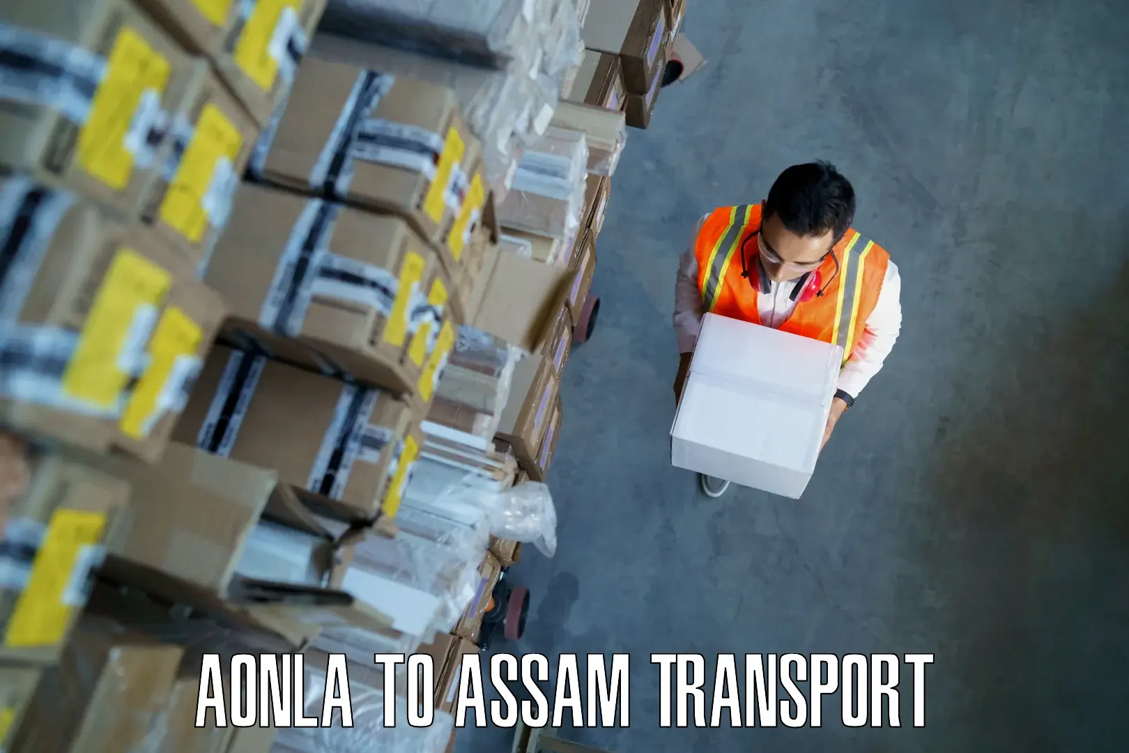 Cargo transport services Aonla to Bokajan