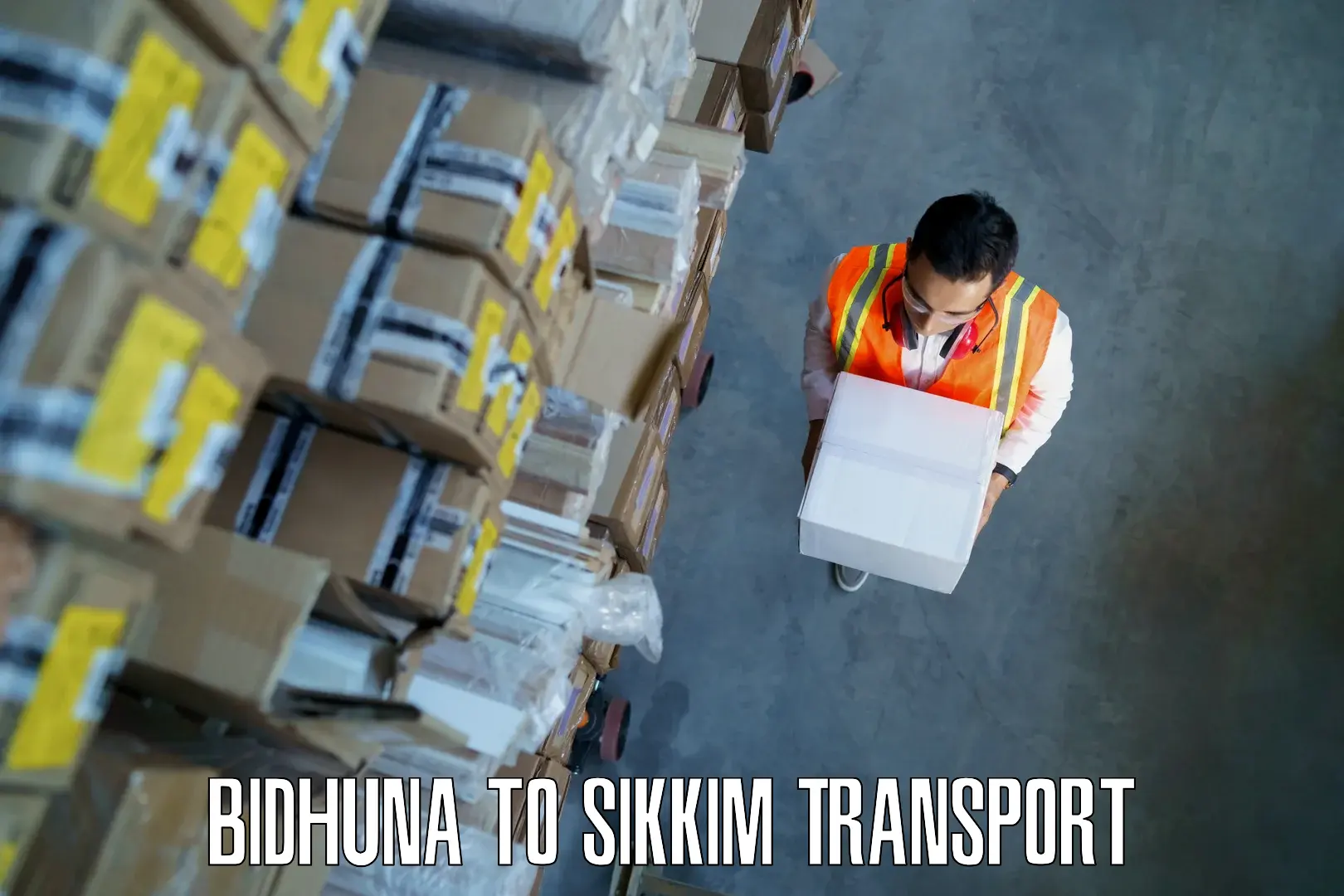 Shipping partner Bidhuna to South Sikkim