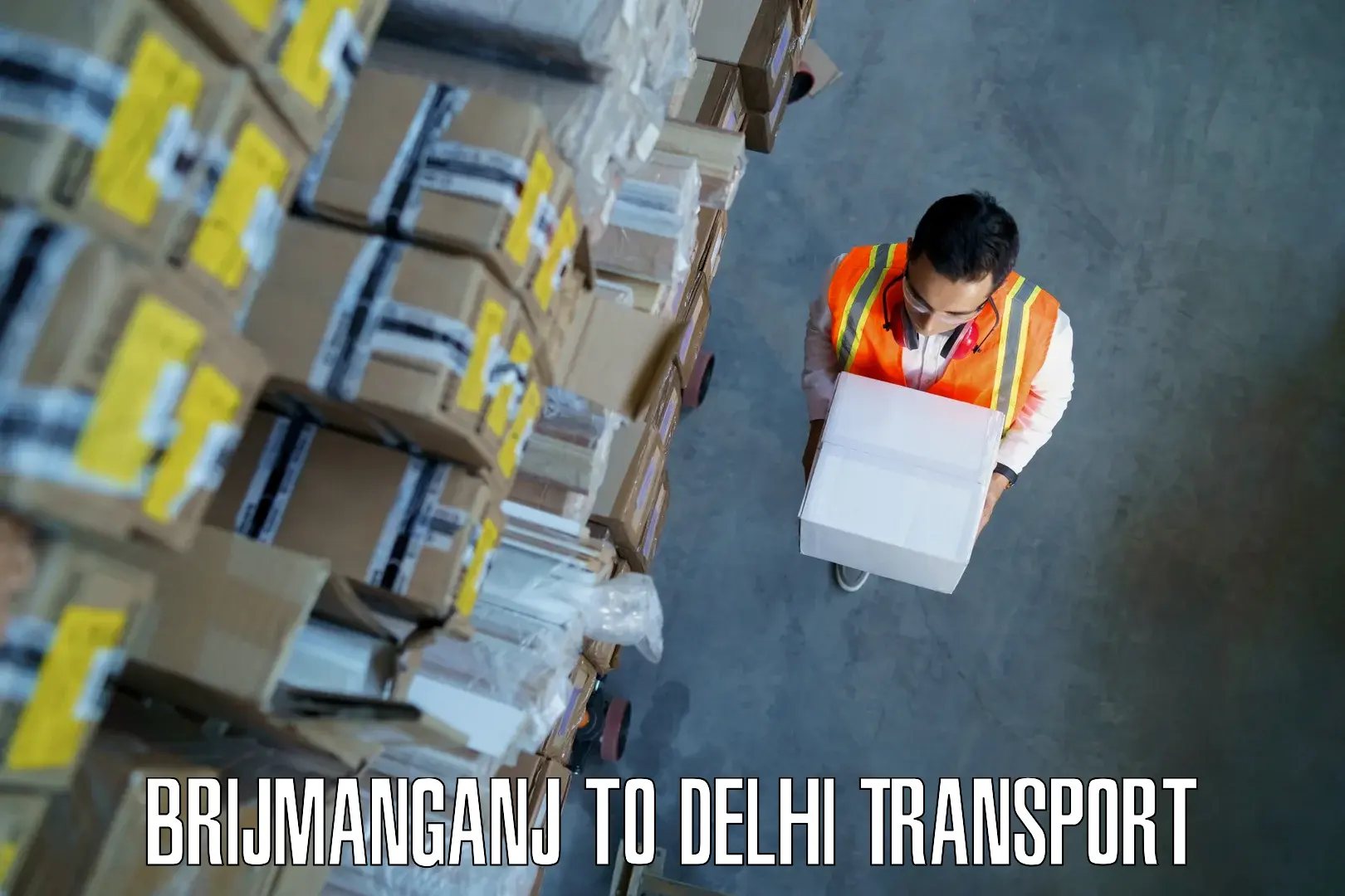 Cargo transport services Brijmanganj to Delhi