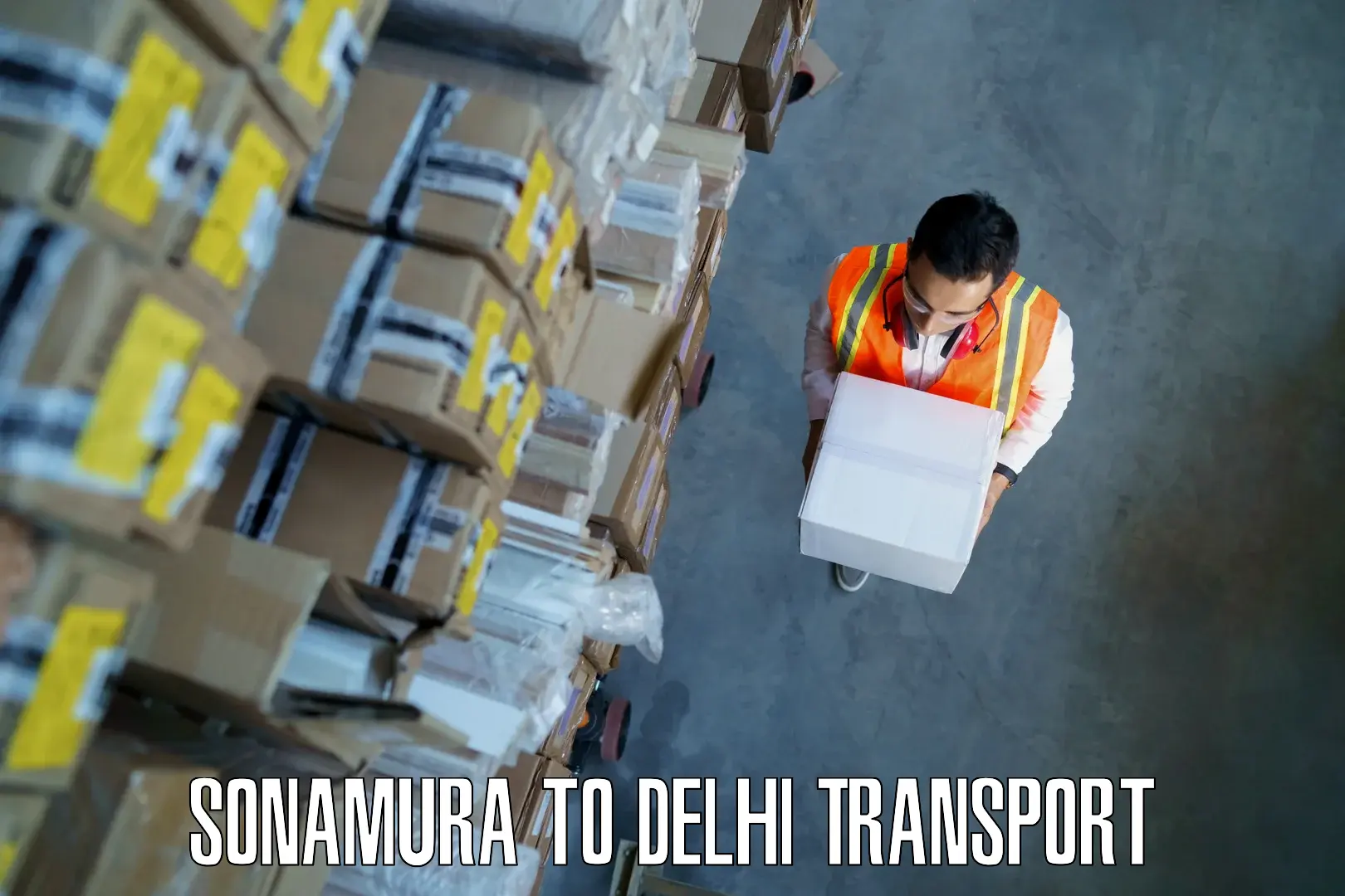 Bike shipping service Sonamura to Delhi