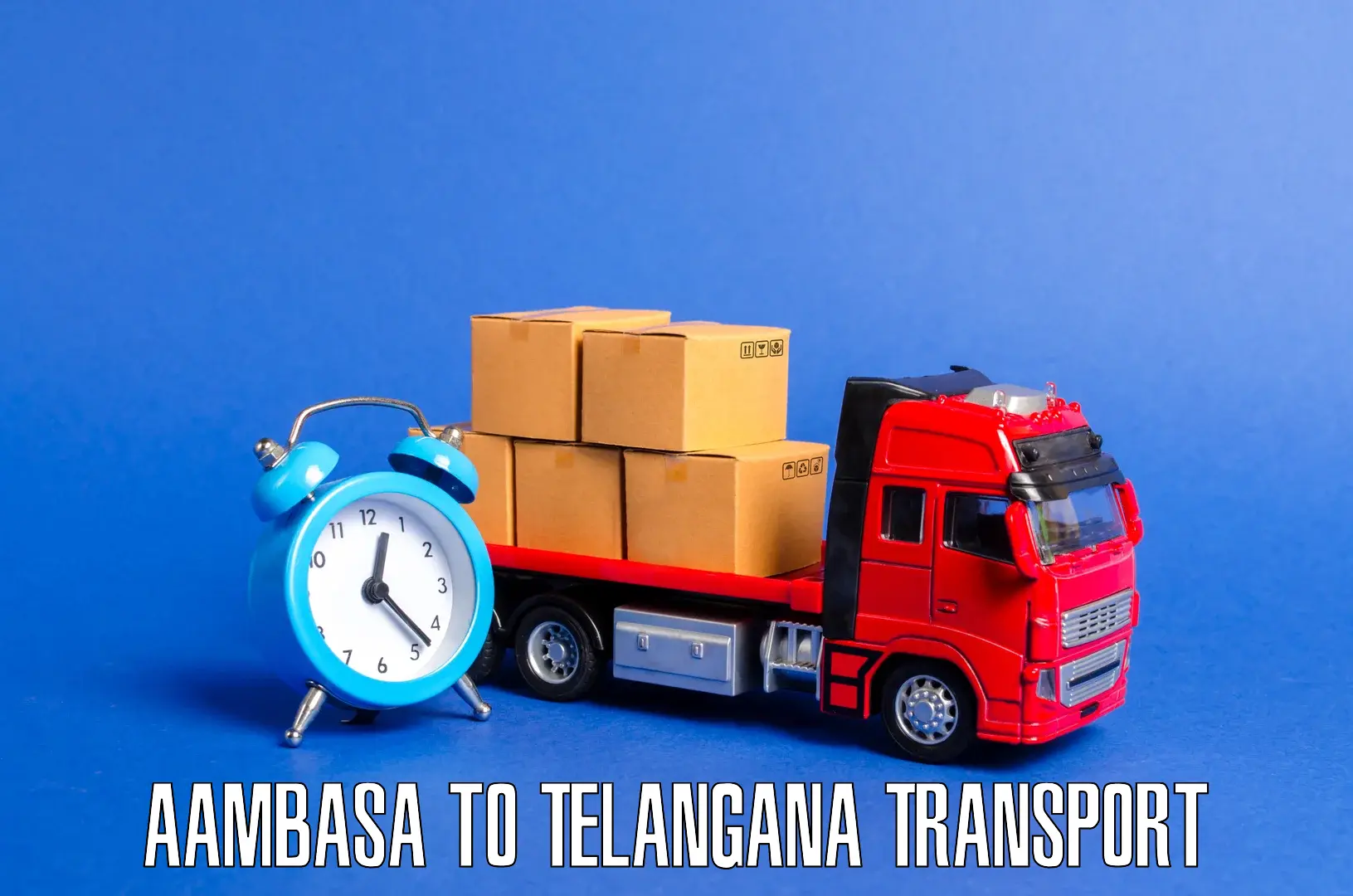 Goods transport services Aambasa to Narsampet