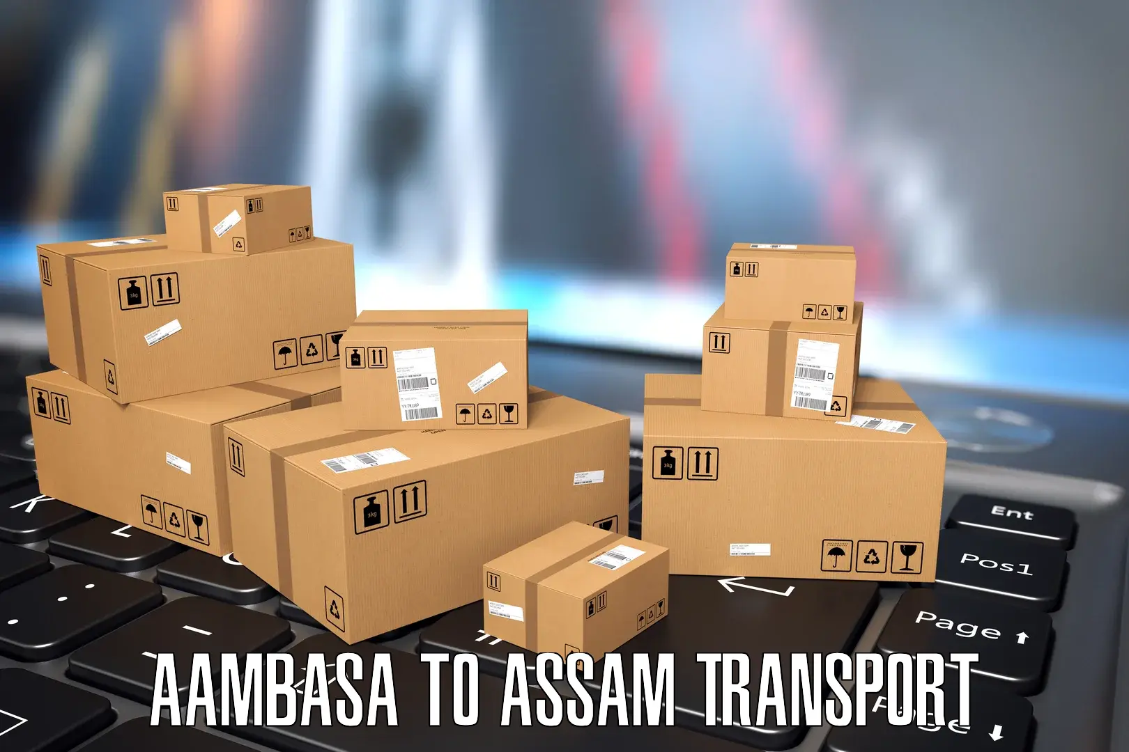 Transport in sharing Aambasa to Lumding