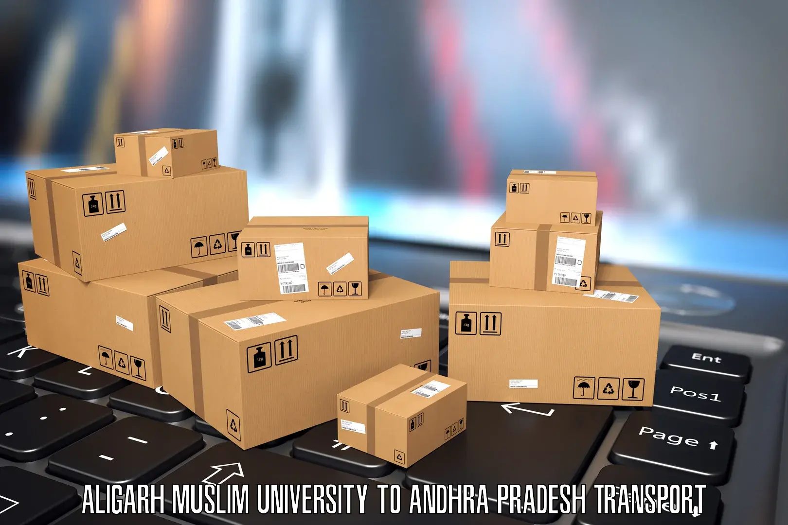 Shipping services Aligarh Muslim University to Guntur