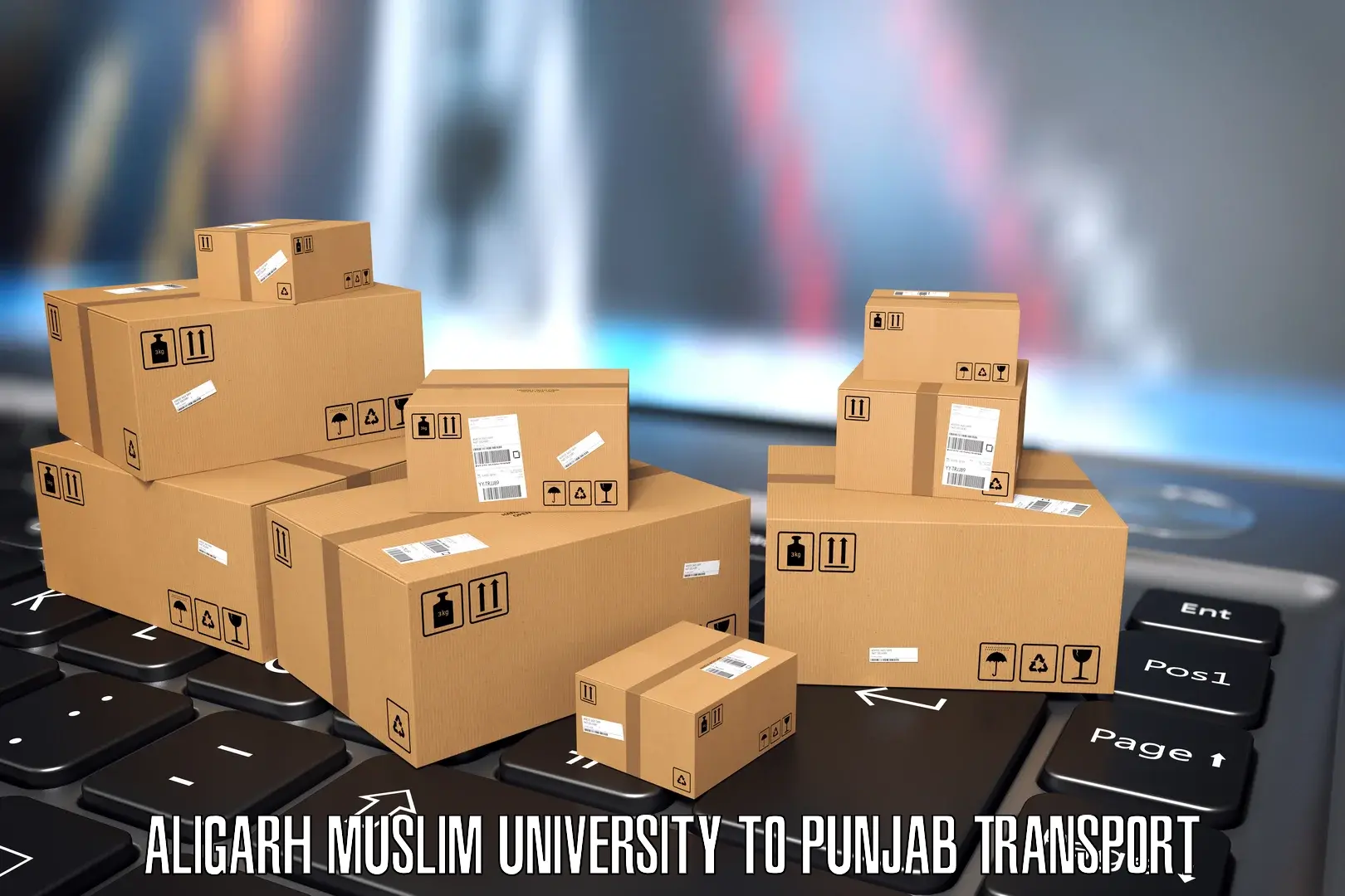 Container transport service Aligarh Muslim University to Dinanagar