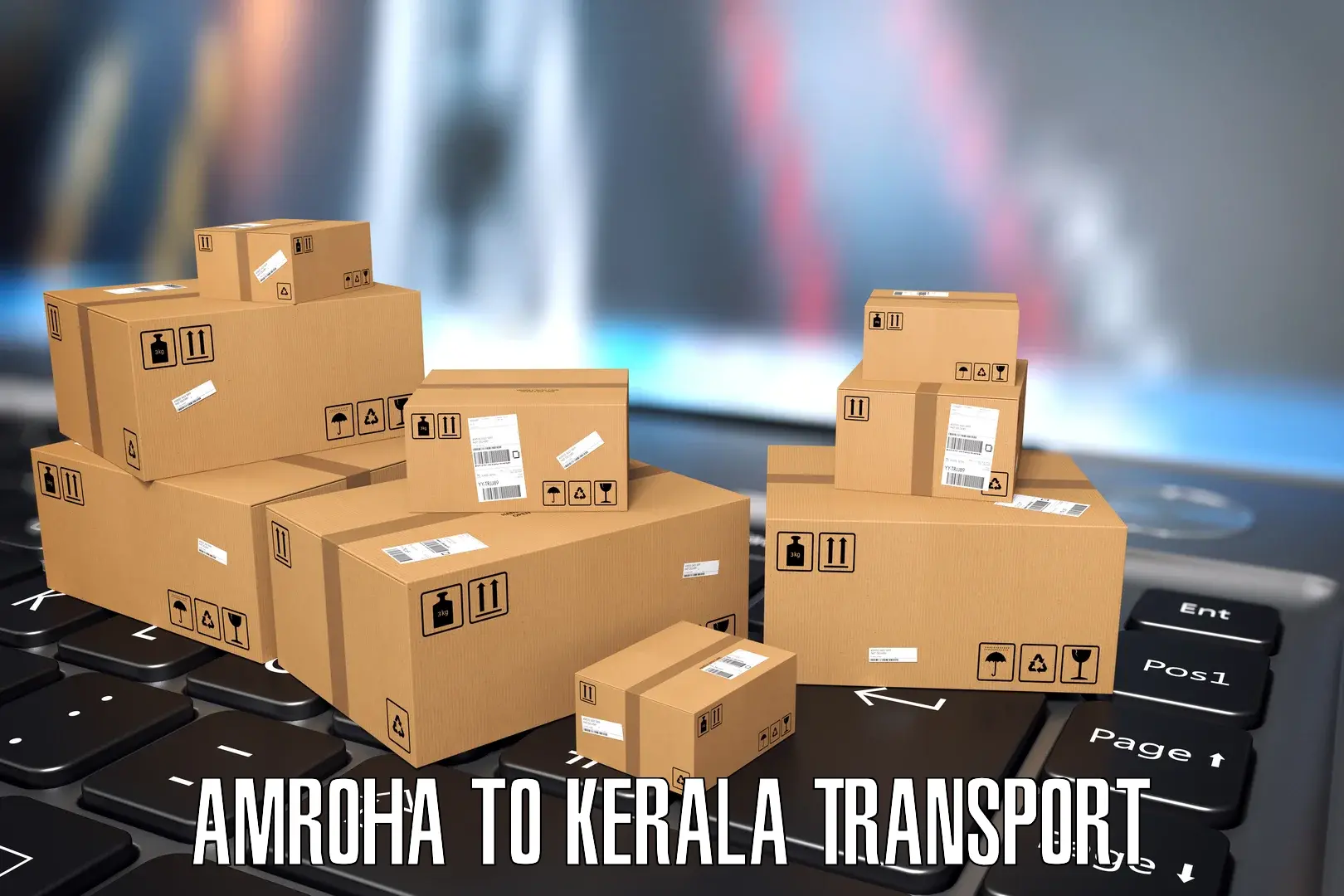 Online transport booking Amroha to Kottayam