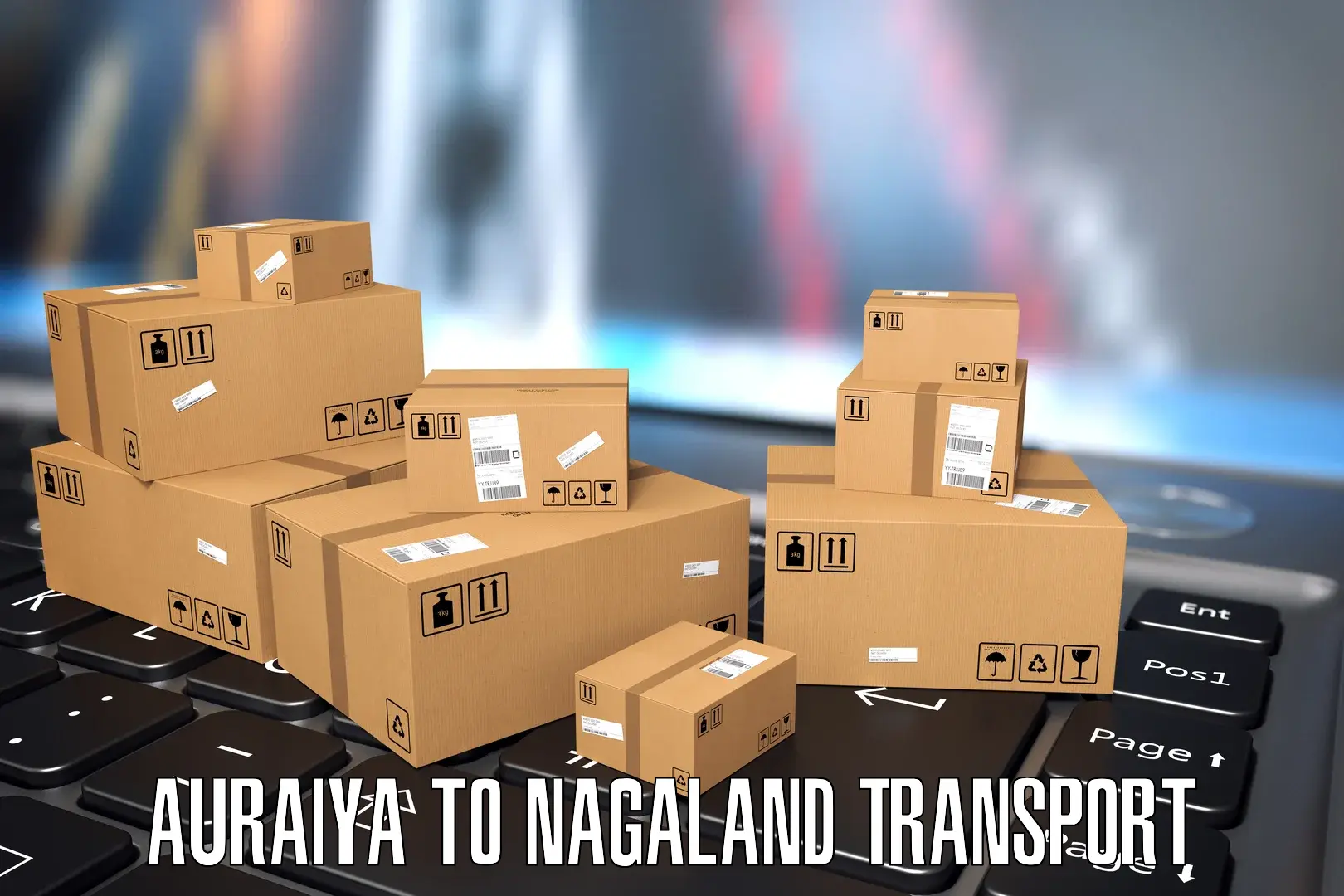 Vehicle parcel service Auraiya to Peren