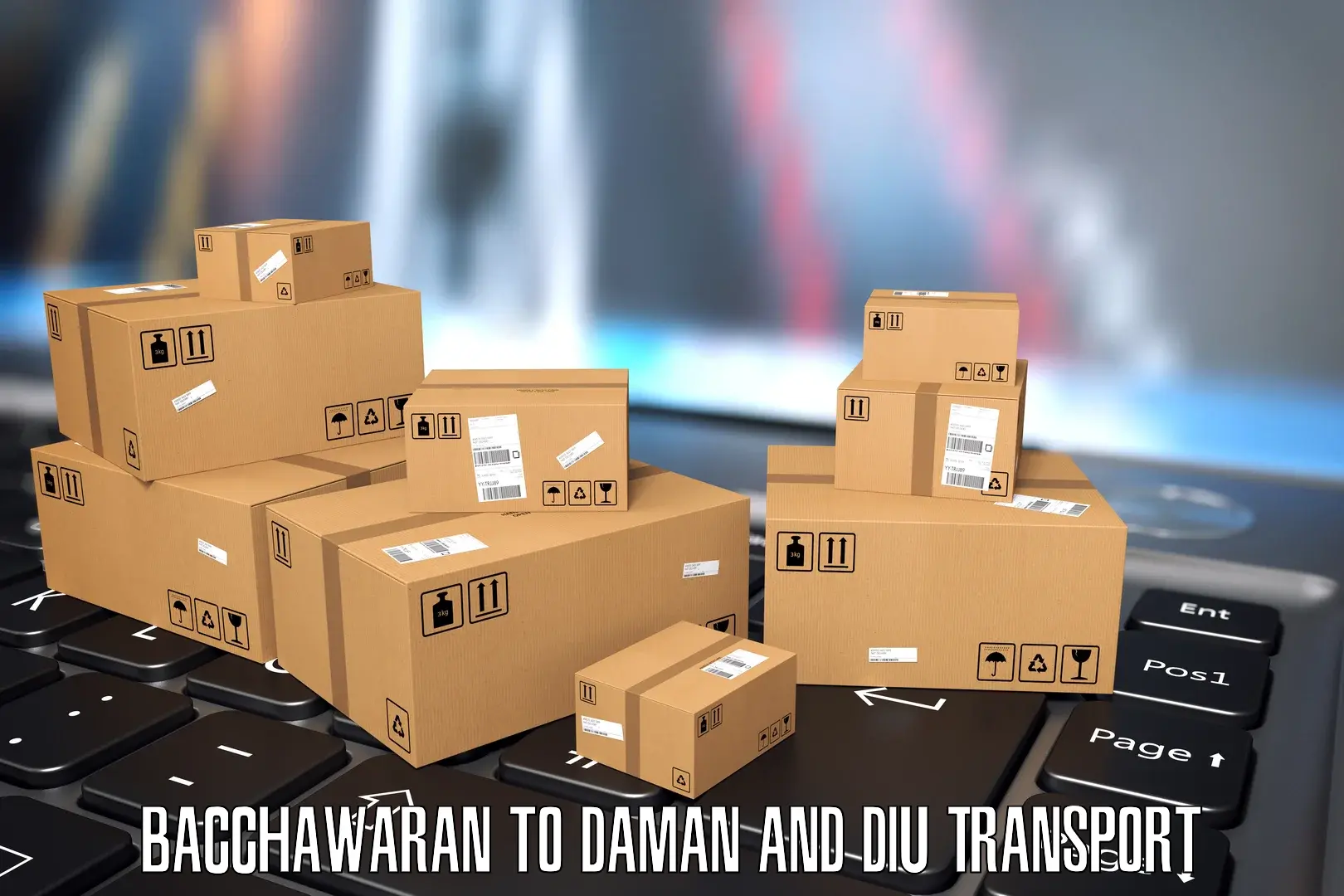 Air freight transport services Bacchawaran to Daman and Diu