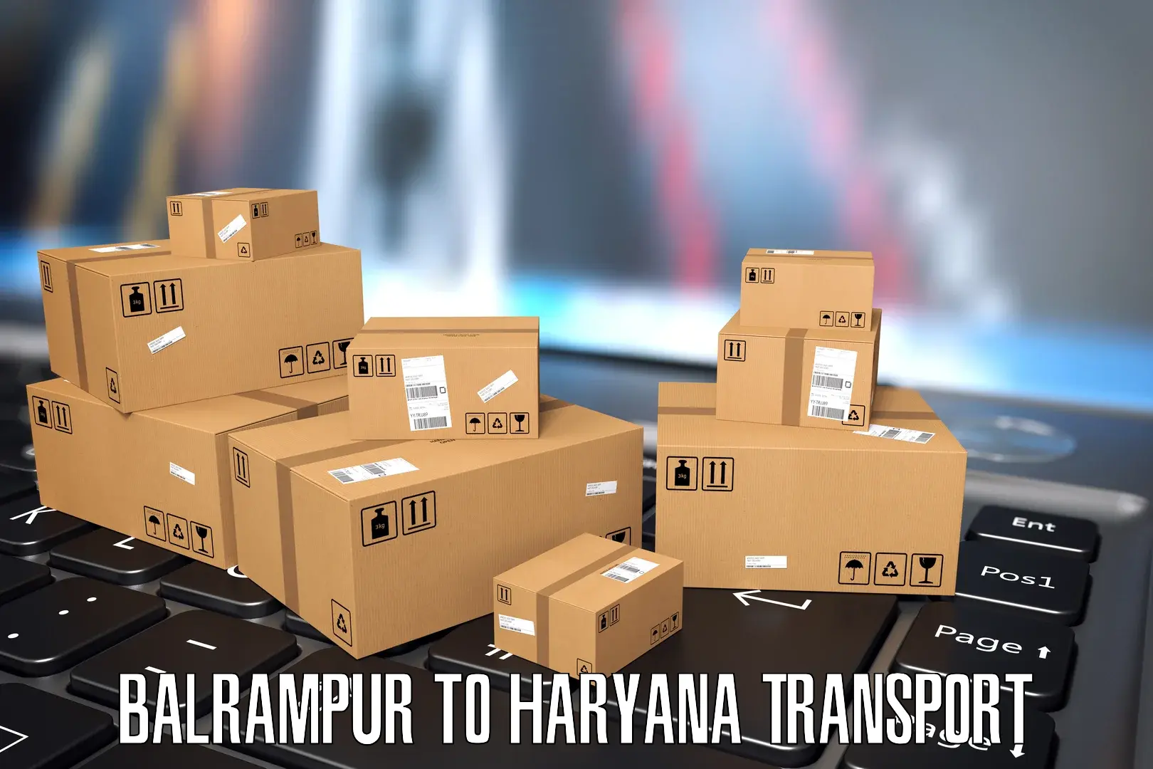 Parcel transport services Balrampur to NCR Haryana