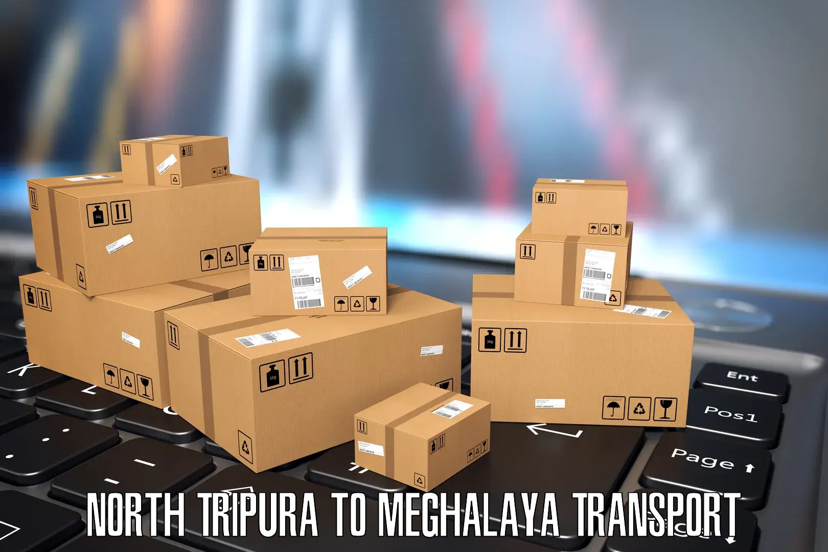 International cargo transportation services North Tripura to Phulbari