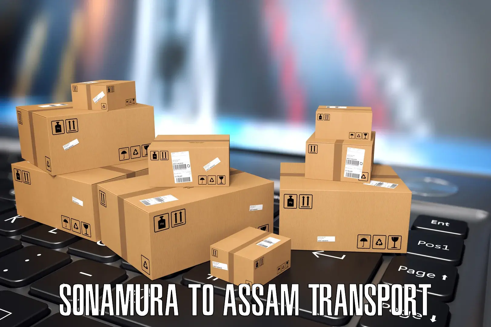 Vehicle transport services in Sonamura to NIT Silchar