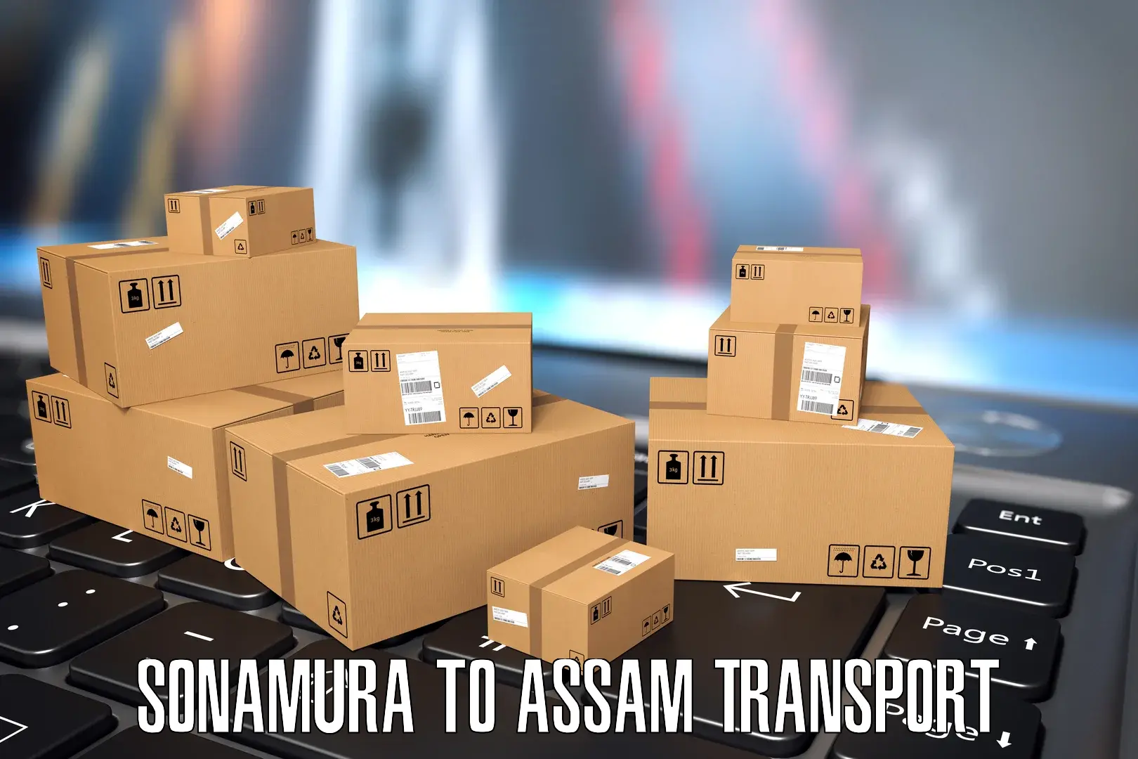 Intercity goods transport Sonamura to Hojai Lanka