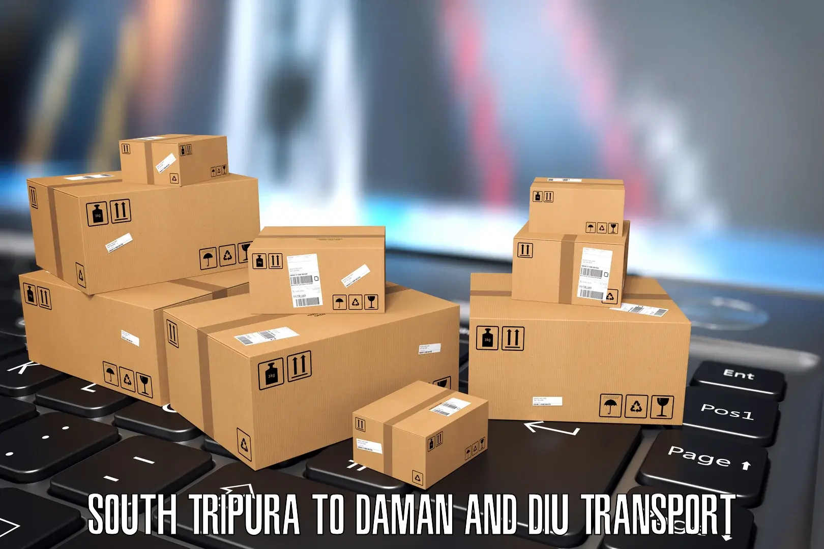 Vehicle transport services South Tripura to Daman and Diu