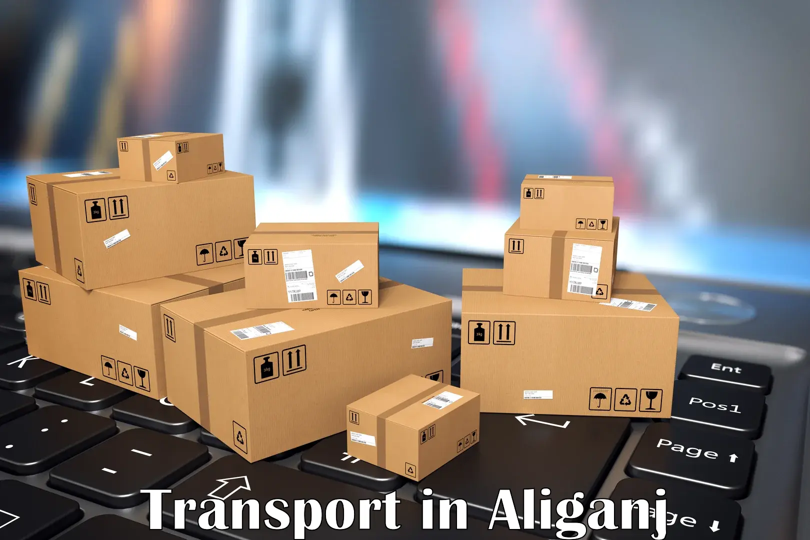 Online transport booking in Aliganj