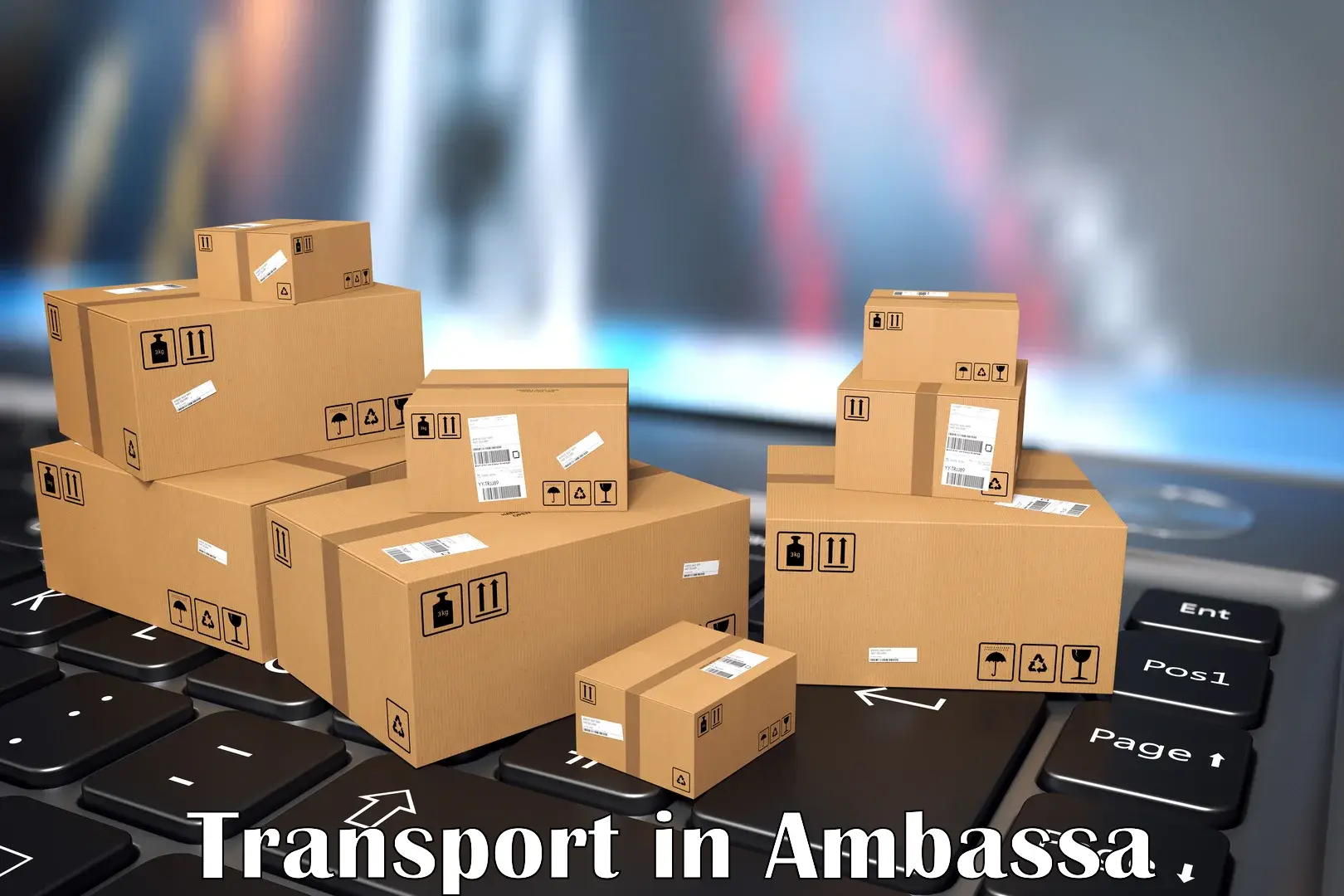 Goods delivery service in Ambassa