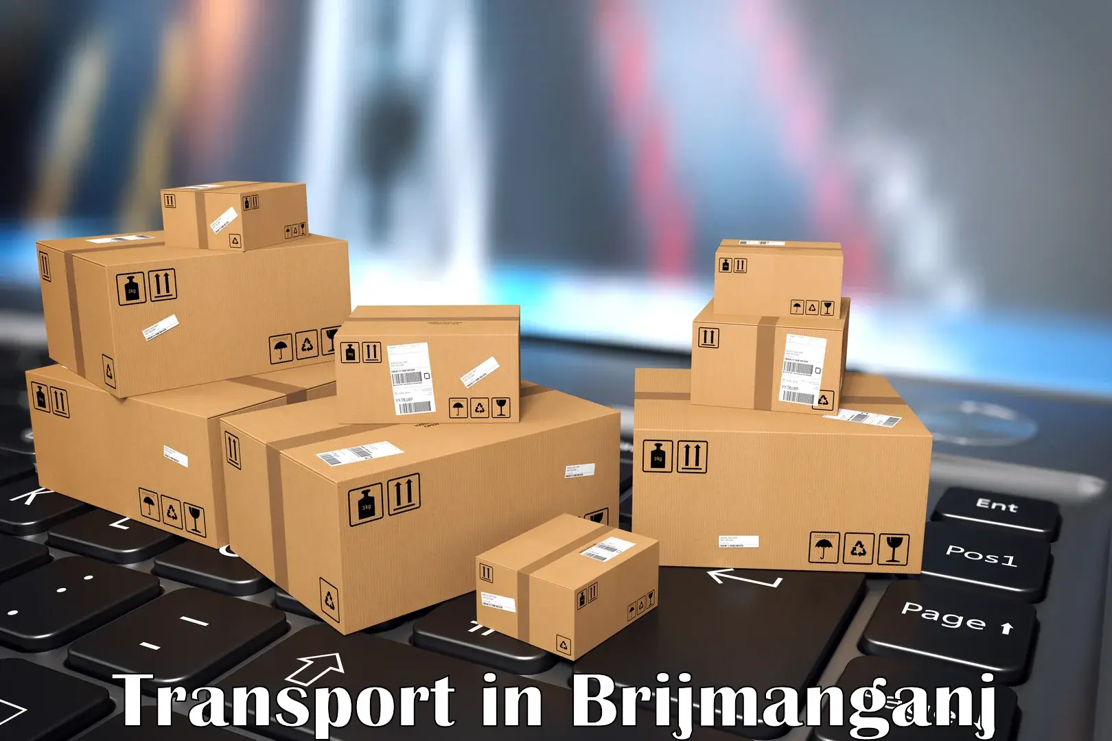 Logistics transportation services in Brijmanganj