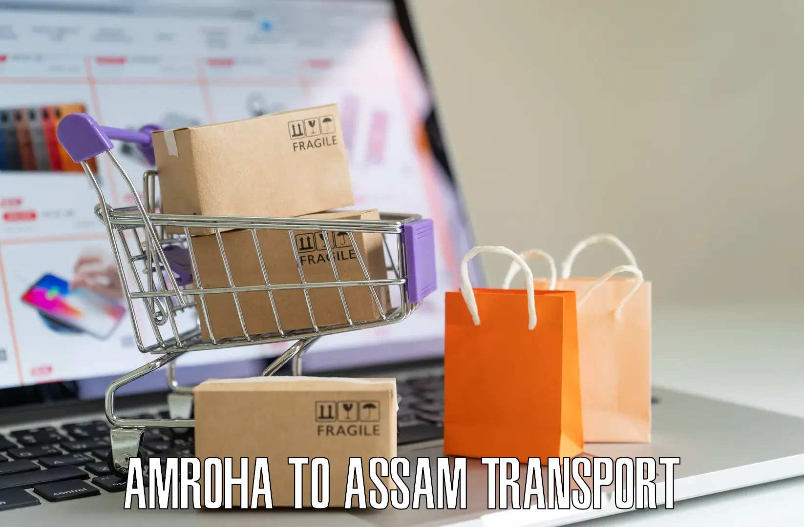 Two wheeler parcel service Amroha to Hojai Lanka