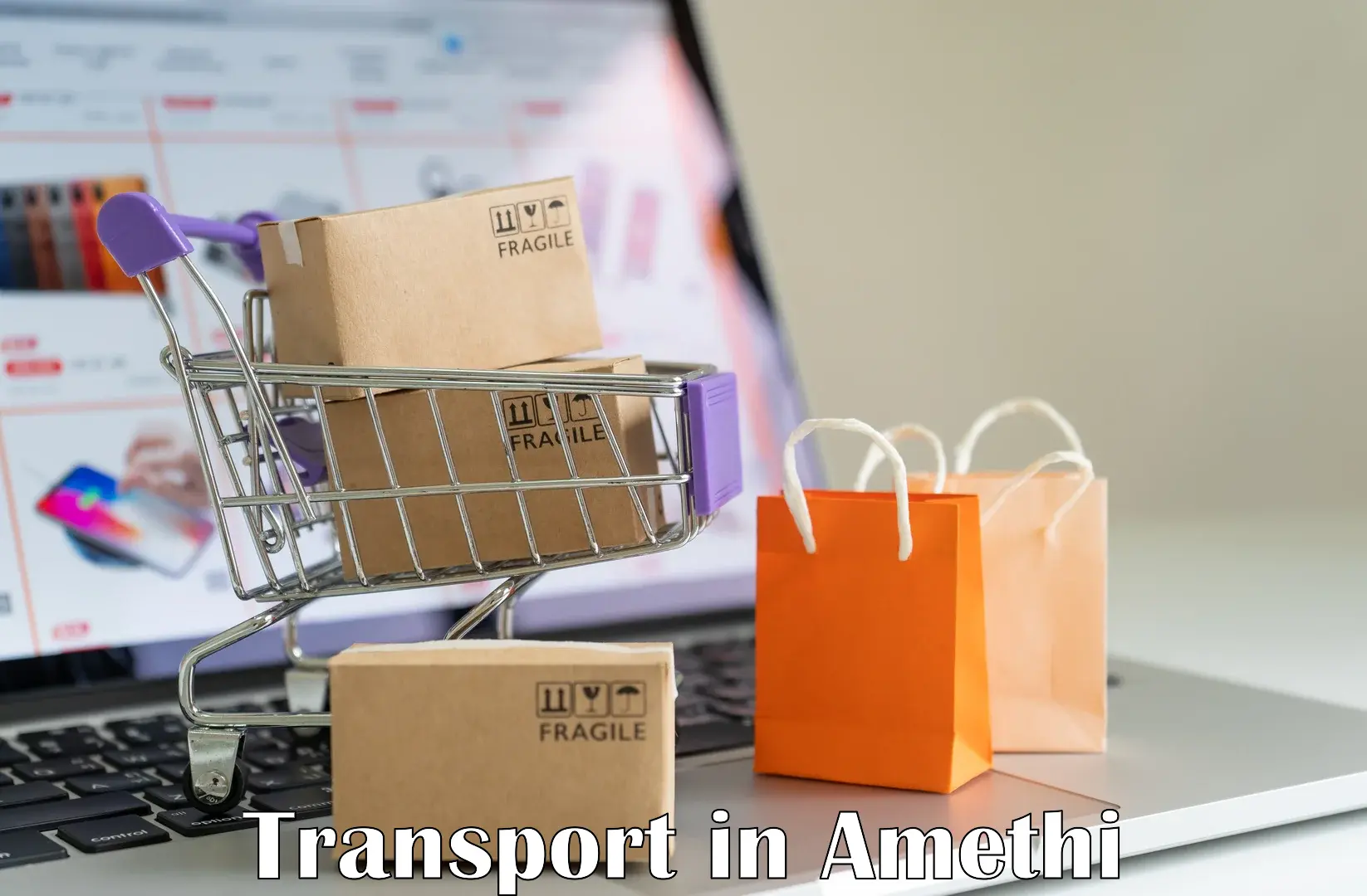Daily parcel service transport in Amethi