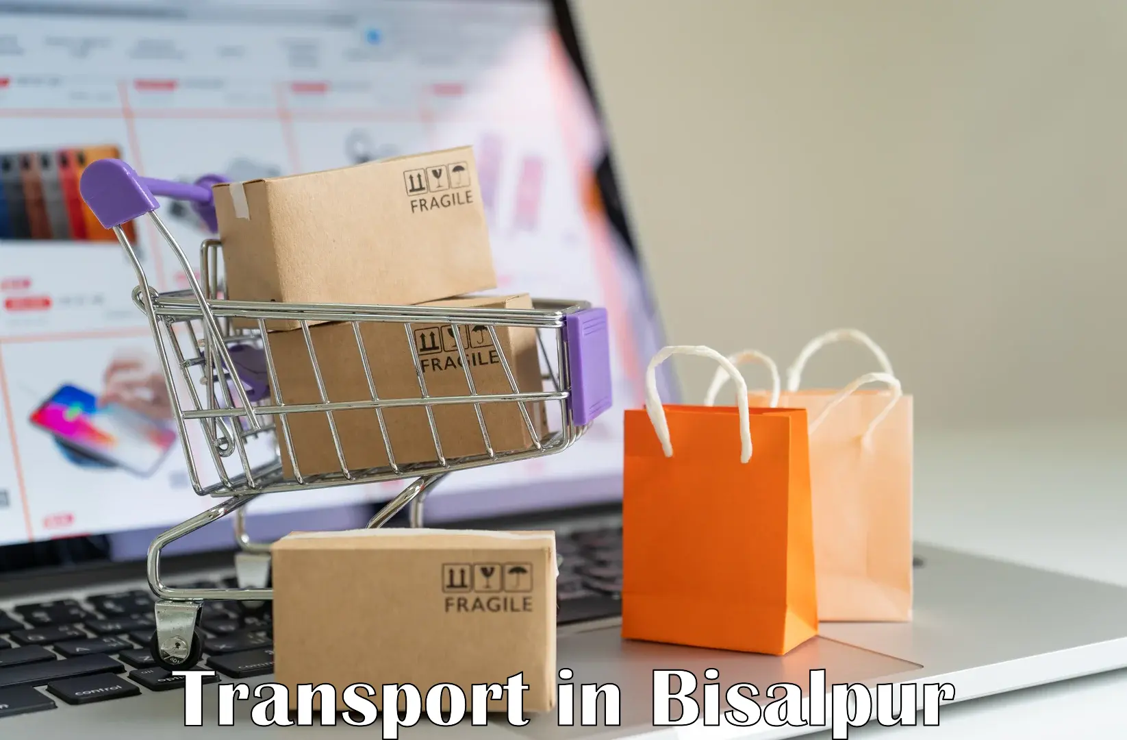 Transportation solution services in Bisalpur